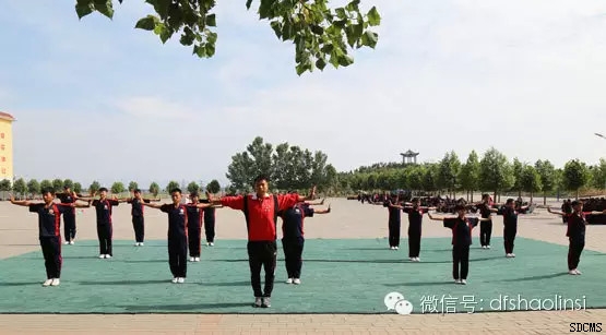 嵩山少林寺武僧团培训基地学员正在训练场上认真学习少林功夫