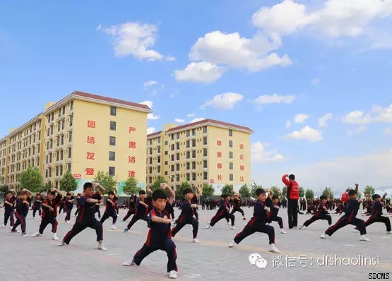 嵩山少林寺武僧团培训基地学员正在认真学习少林功夫