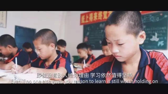 即使没有别人给你理由,学习依然值得坚持。